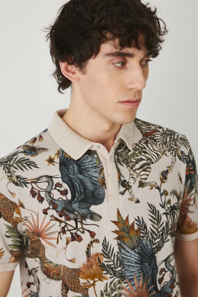 поло. Изображение 4