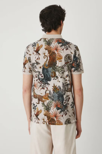 поло. Изображение 3