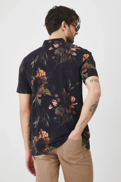 поло. Изображение 4