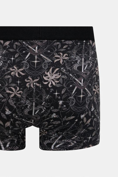 трусы-боксеры 2. Изображение 1