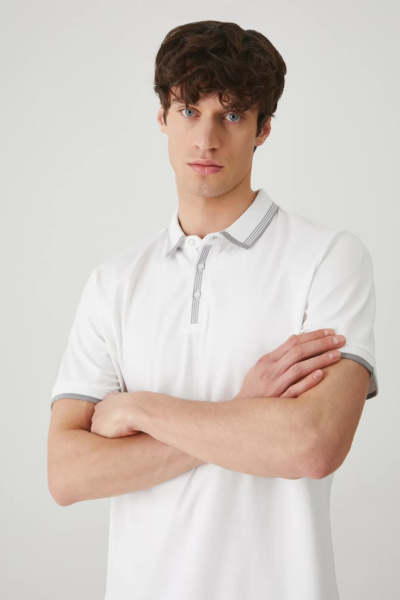 поло. Изображение 1