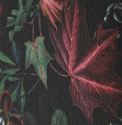 разноцветный